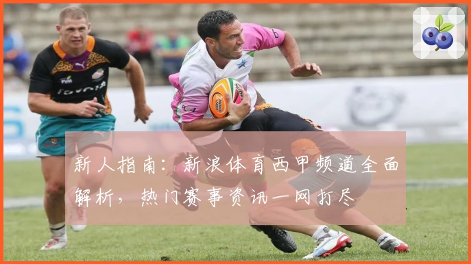 新人指南：新浪体育西甲频道全面解析，热门赛事资讯一网打尽