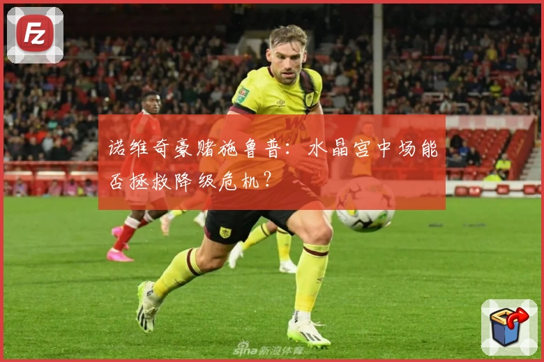 诺维奇豪赌施鲁普：水晶宫中场能否拯救降级危机？