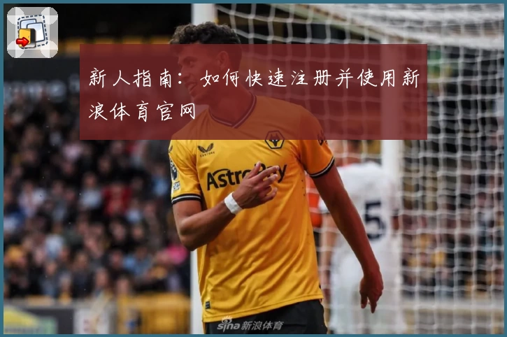 新人指南：如何快速注册并使用新浪体育官网