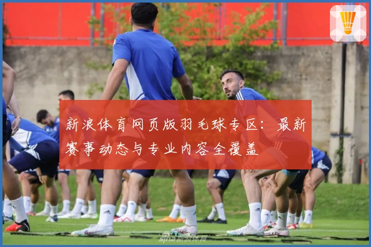 新浪体育网页版羽毛球专区：最新赛事动态与专业内容全覆盖