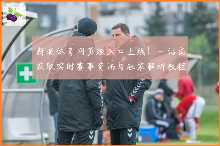 新浪体育网页版入口上线！一站式获取实时赛事资讯与独家解析教程