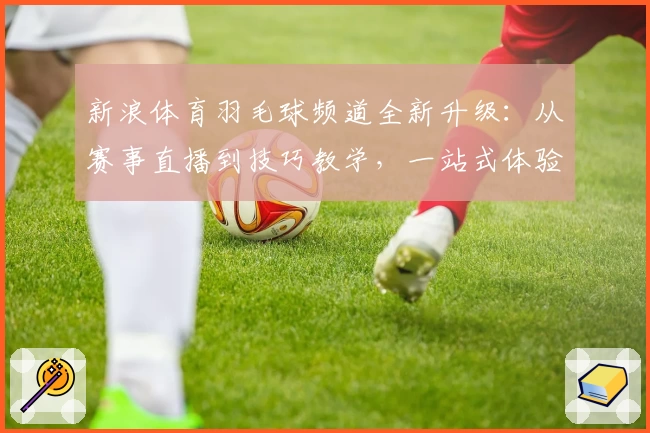 新浪体育羽毛球频道全新升级：从赛事直播到技巧教学，一站式体验指南