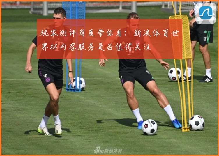 玩家测评角度带你看：新浪体育世界杯内容服务是否值得关注