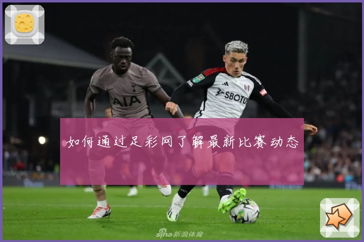 如何通过足彩网了解最新比赛动态