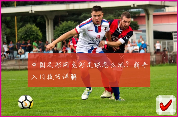 中国足彩网竞彩足球怎么玩？新手入门技巧详解