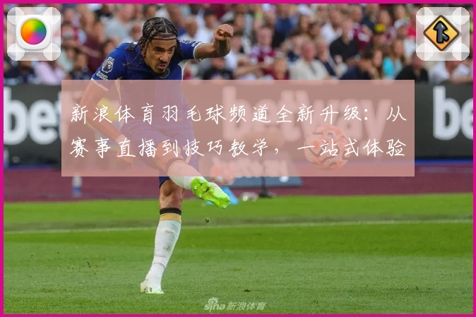 新浪体育羽毛球频道全新升级：从赛事直播到技巧教学，一站式体验指南