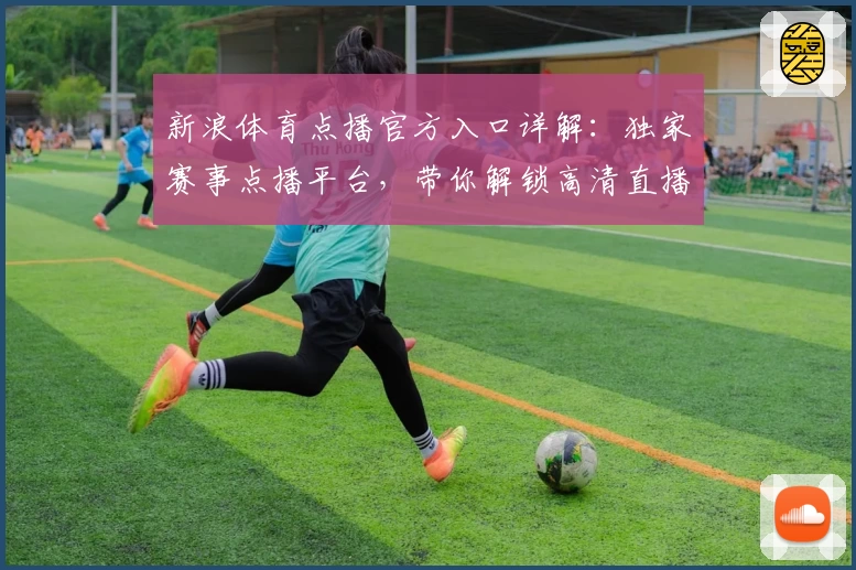 新浪体育点播官方入口详解：独家赛事点播平台，带你解锁高清直播观看新体验