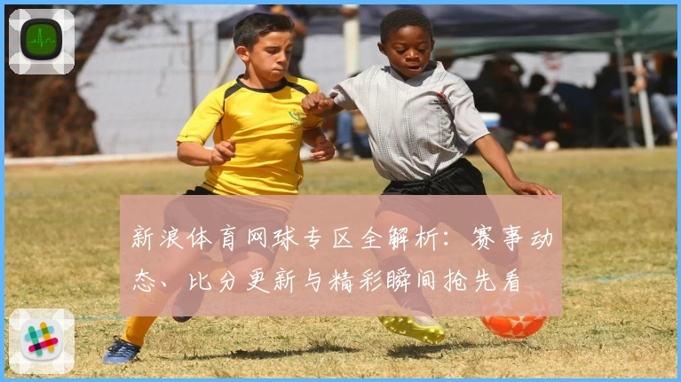 新浪体育网球专区全解析：赛事动态、比分更新与精彩瞬间抢先看