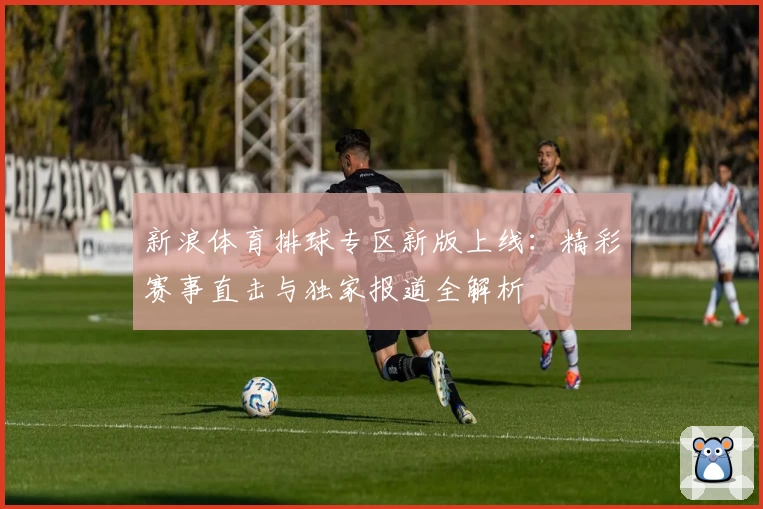 新浪体育排球专区新版上线：精彩赛事直击与独家报道全解析